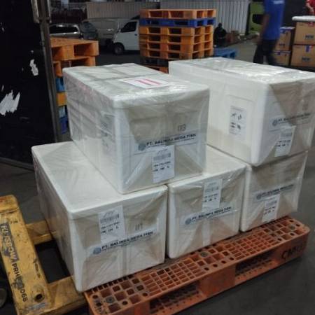 shipment24