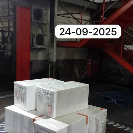shipment28
