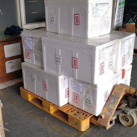 shipment33
