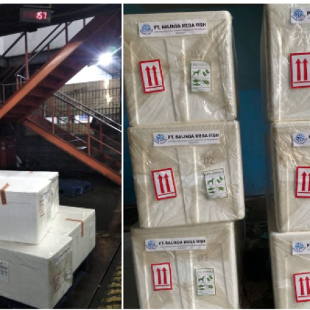 shipment2