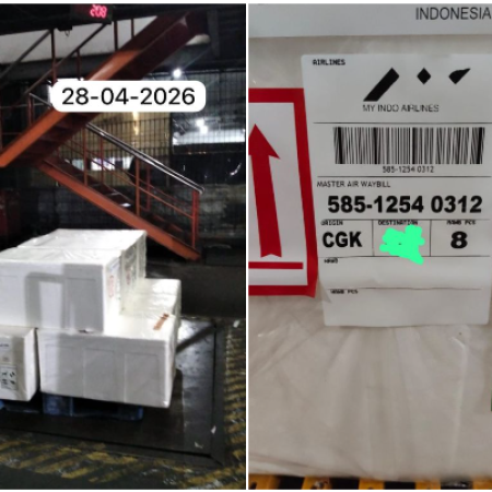 shipment6