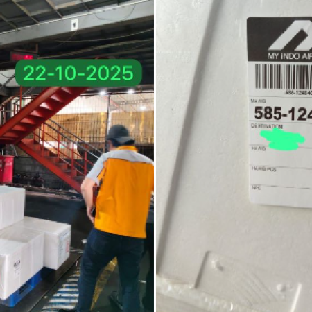 shipment11