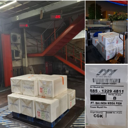 shipment15